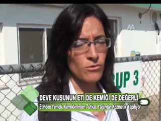 DEVE KUŞUNUN ETİ DE KEMİĞİ DE DEĞERLİ 13.10.2011