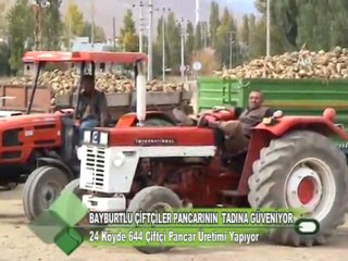 Bayburtlu Çiftçiler Pancarının Tadına Güveniyor 14.10.2011
