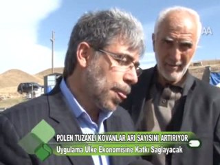 Polen Tuzaklı Kovanlar Arı Sayısını Artırıyor 14.10.2011
