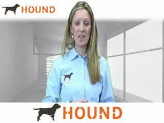 Download Video: Compliance Auditor Jobs, Compliance Auditor Careers, Employment | Hound.com