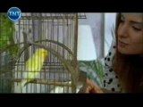 TNT - Dizi / Dedektif Memoli (4.Bölüm) (21.10.2011) (Yeni Dizi) (Fragman-1) (SinemaTv.info)