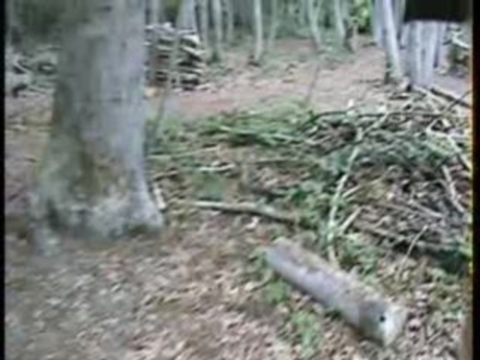 paintball atomik