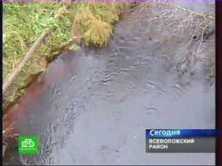 Мусорный беспредел в Лепсари