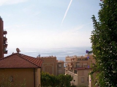 Spa de nage en bois pose en extérieur montage entretien