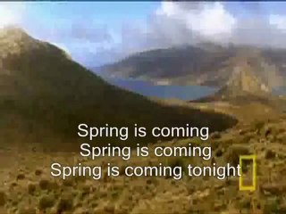 S p r i n g ( is coming tonight )