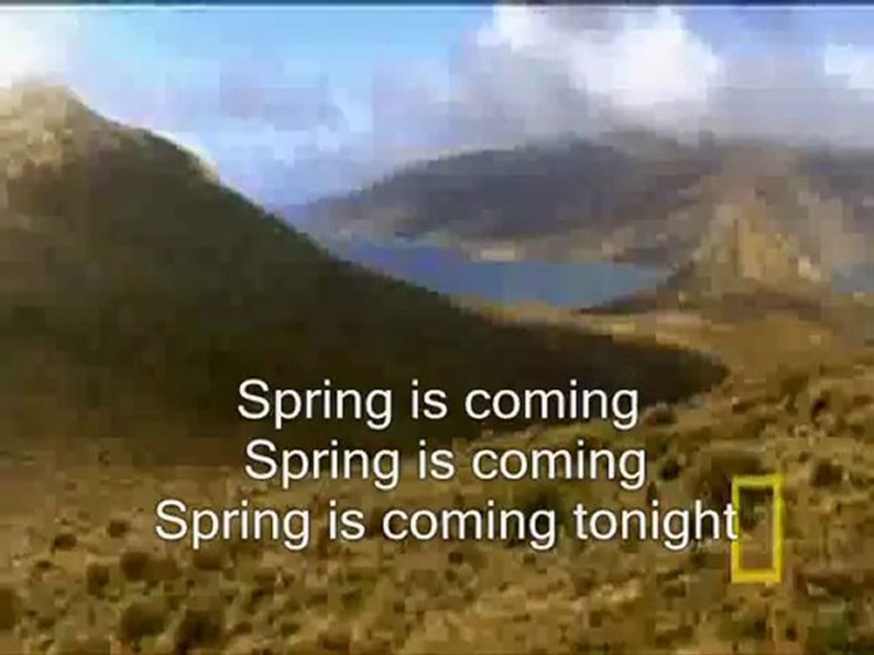 S p r i n g ( is coming tonight )