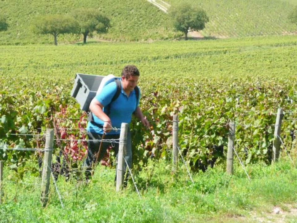 Sancerrois