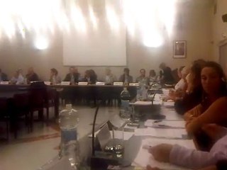 Conseil FAR 13 OCT2011 - Zanolin 1