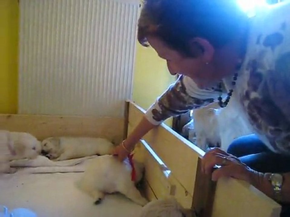 Ca bouge beaucoup !