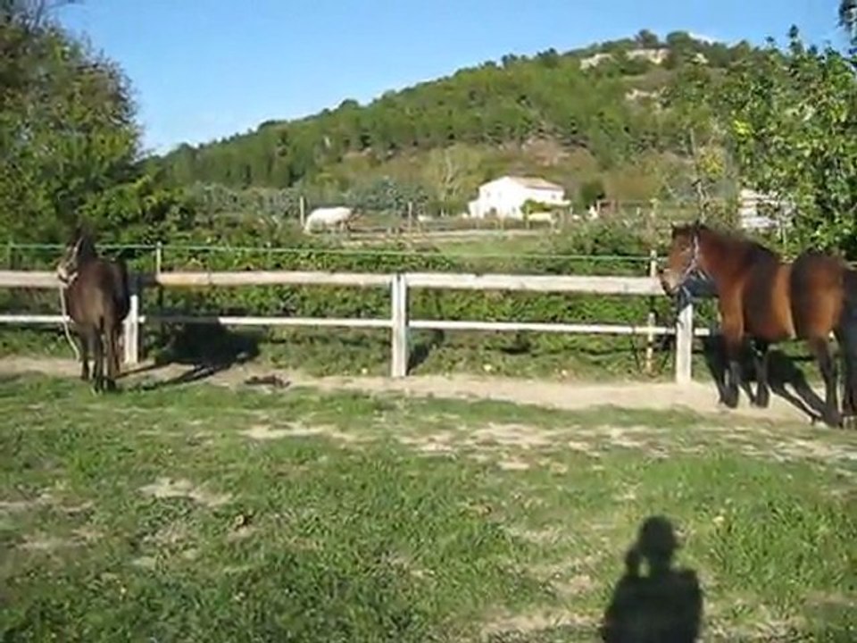 La grosse bête a peur de la petite