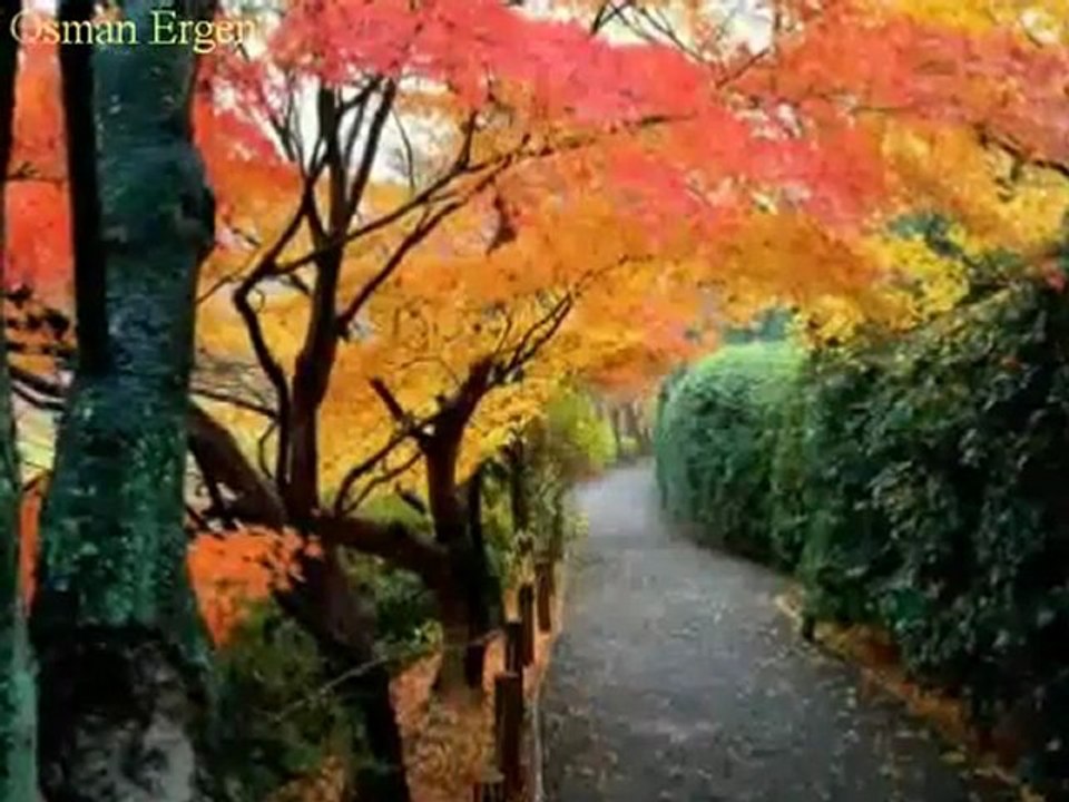 Bir Daha Bu Yolları Aynı Hevesle Yürürmüyüm