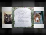 granite pet memorials