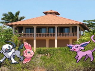 Total Pokemon Community Episode 65:The Spirit Prince