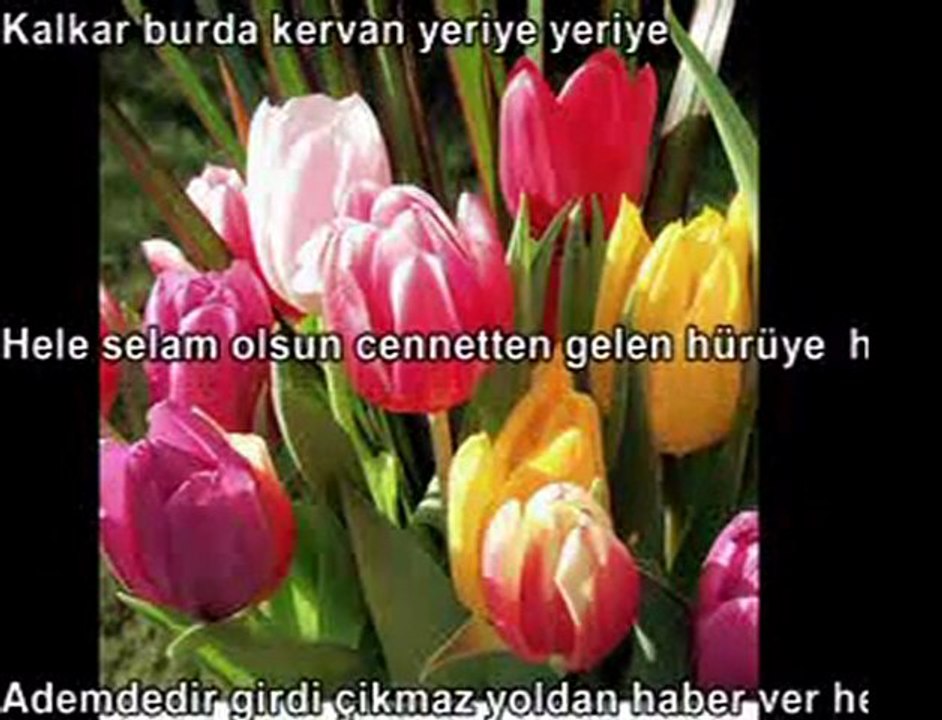 İŞTE KURAN BUNLARDIR HEEY KİŞİ