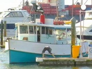 Nuova Zelanda: volontari al lavoro contro la marea nera