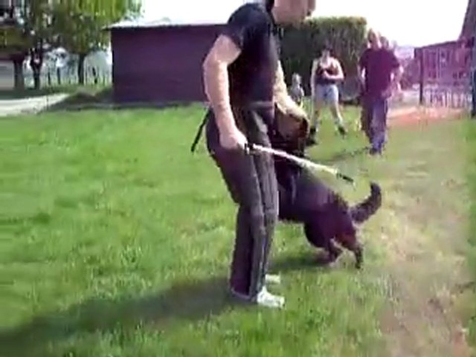 Gomor_FIRST_TIME_REAL_STAKE_OUT_TEST