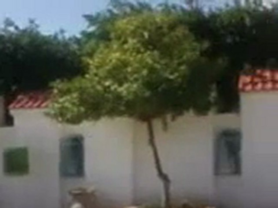 municipalité avenue bourguiba ouled chamekh mahdia tunisie