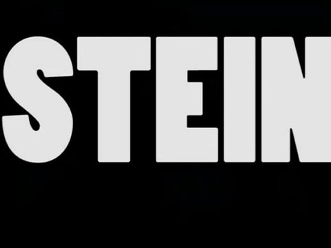 REGARD 111. EXPOSITION STEIN AU GRAND PALAIS. RLHD.TV