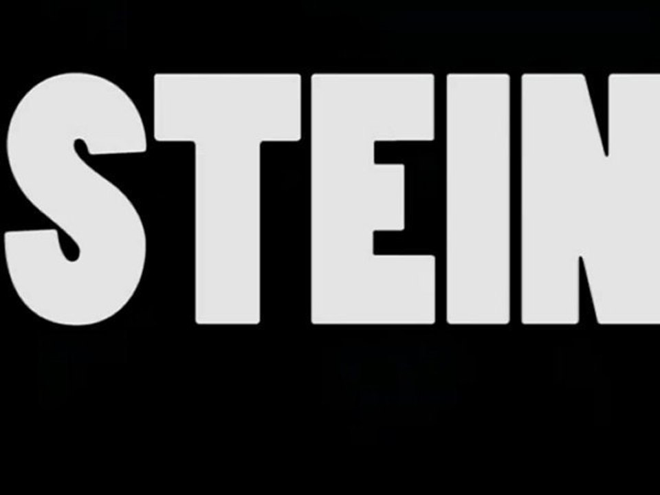 REGARD 111. EXPOSITION STEIN  AU GRAND PALAIS. RLHD.TV