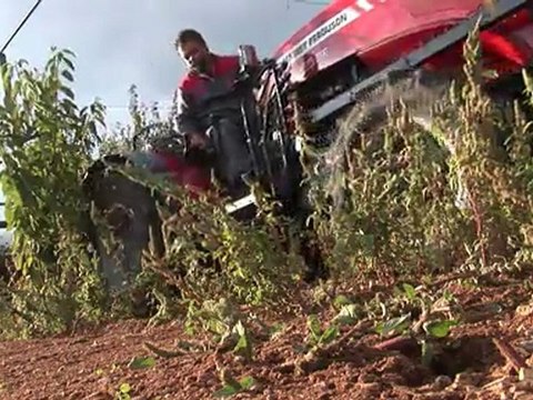 Massey Ferguson 3600GE Uzman Traktör Tanıtımı