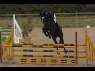 Petroesjka Z CSO Bourg 15 octobre 2011 vitesse 105