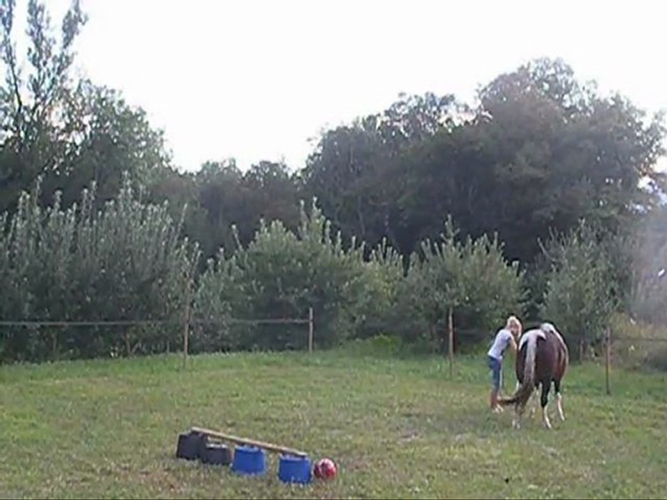 mini saut.