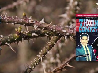 Management Thorns
