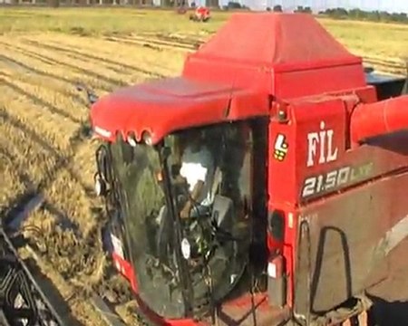 çeltik-hasadı-mutlular-manyas-kızıksa. mutlular-gonen.com