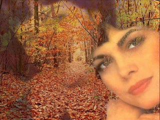 MM - Les jardins d'automne