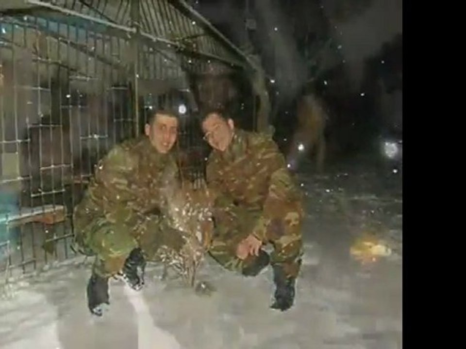 seslisevdan.com,www.seslisevdan.com,seslisevdan.com online sesli chat,sesli sohbet,kameralı chat,goruntulu sohbet,seslisevdan Türkçe Rap Böyle Yapılır Diss To Gemetzel,turkiyepanel,turkiyepanel.net