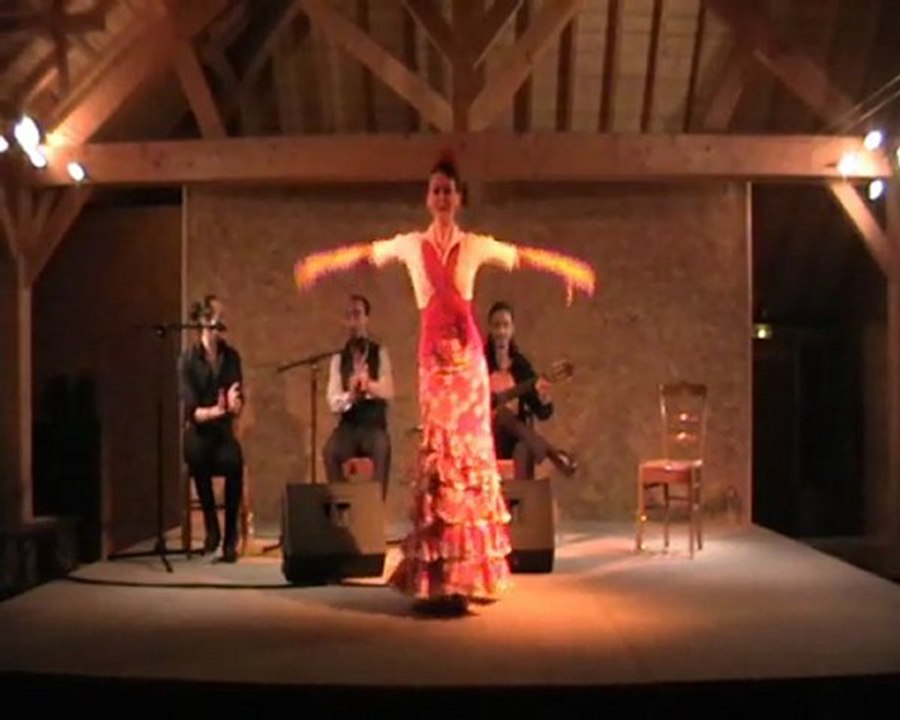Cours de flamenco à Paris solea y alegrias de Sabrina Le Guen, cuadro J.B Marino