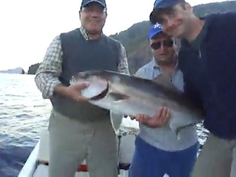 BÜYÜK BALIK AVI HAYALLERİNİ ADRASAN AKYA AVI YAPARAK GERÇEKLEŞTİRDİLER - adrasanbalik.com