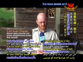 Behind Blood-Stained Slaughterhouse Walls - P1/2