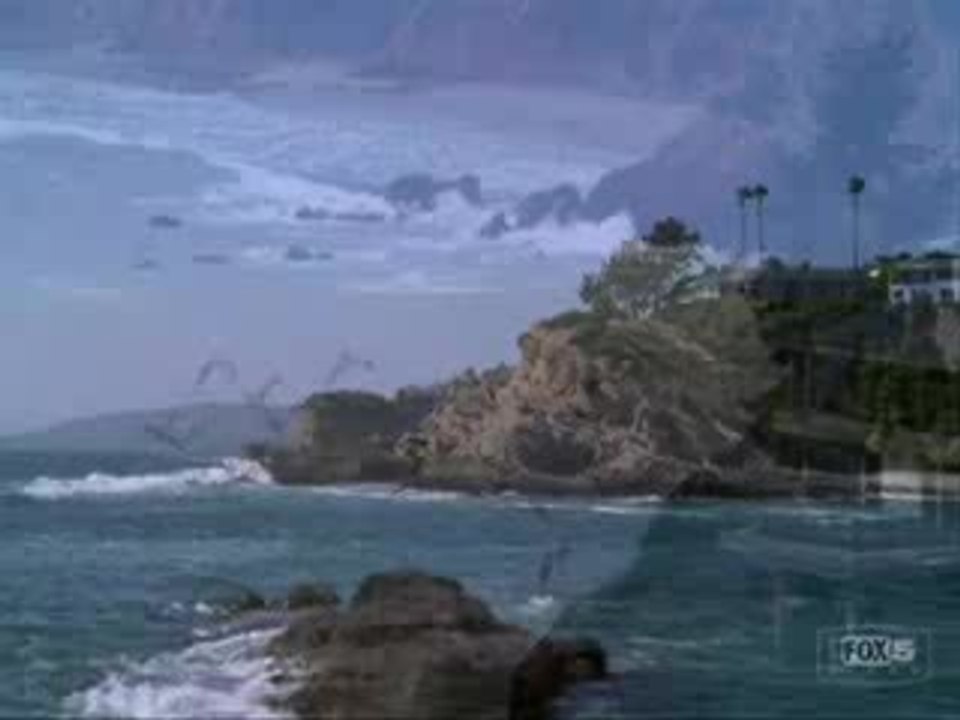 The oc