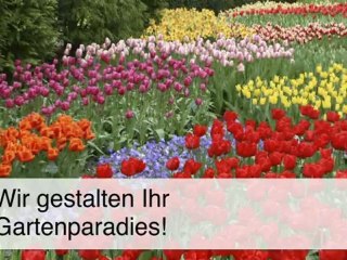 Friesenwall Tangstedt, Kr Pinneberg Biermann Heinz H. ...