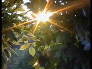 Aykut KUŞKAYA - Kaldırımlar