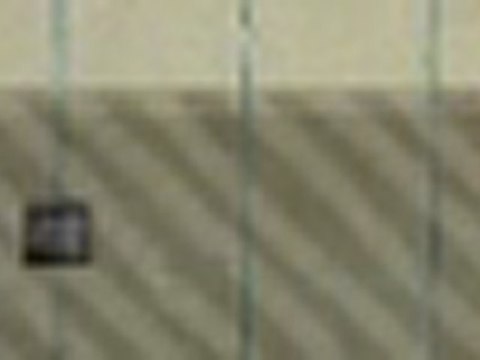 Age of Empires Online Overview