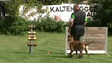 Sammer-Greta-Zirbenlandturnier-2011-UO