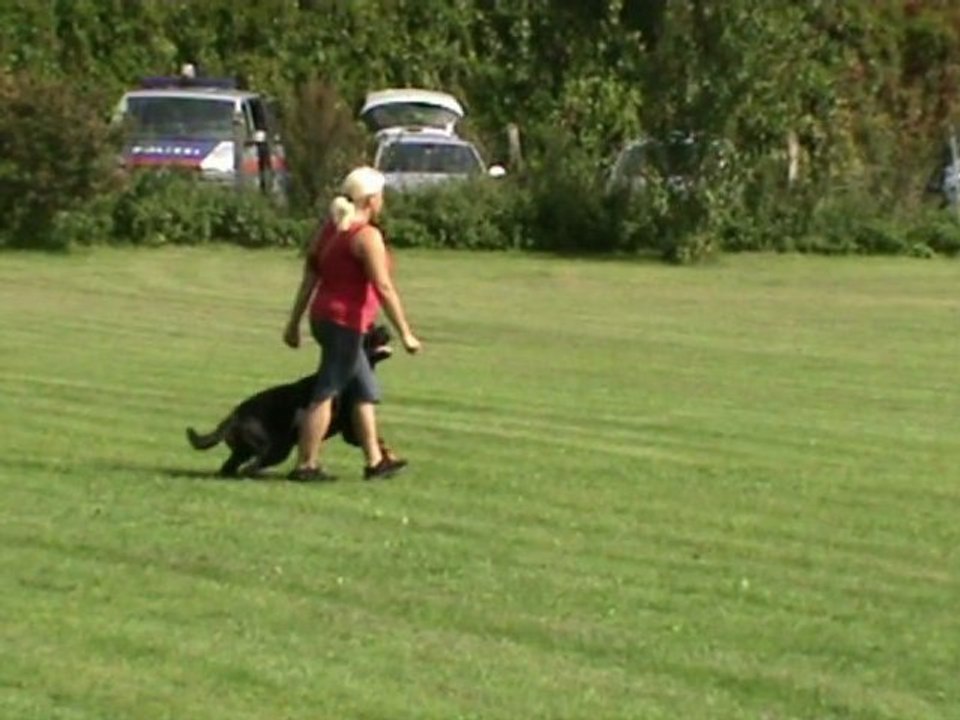 Schmied-Aleris-Zirbenlandturnier-2011-UO