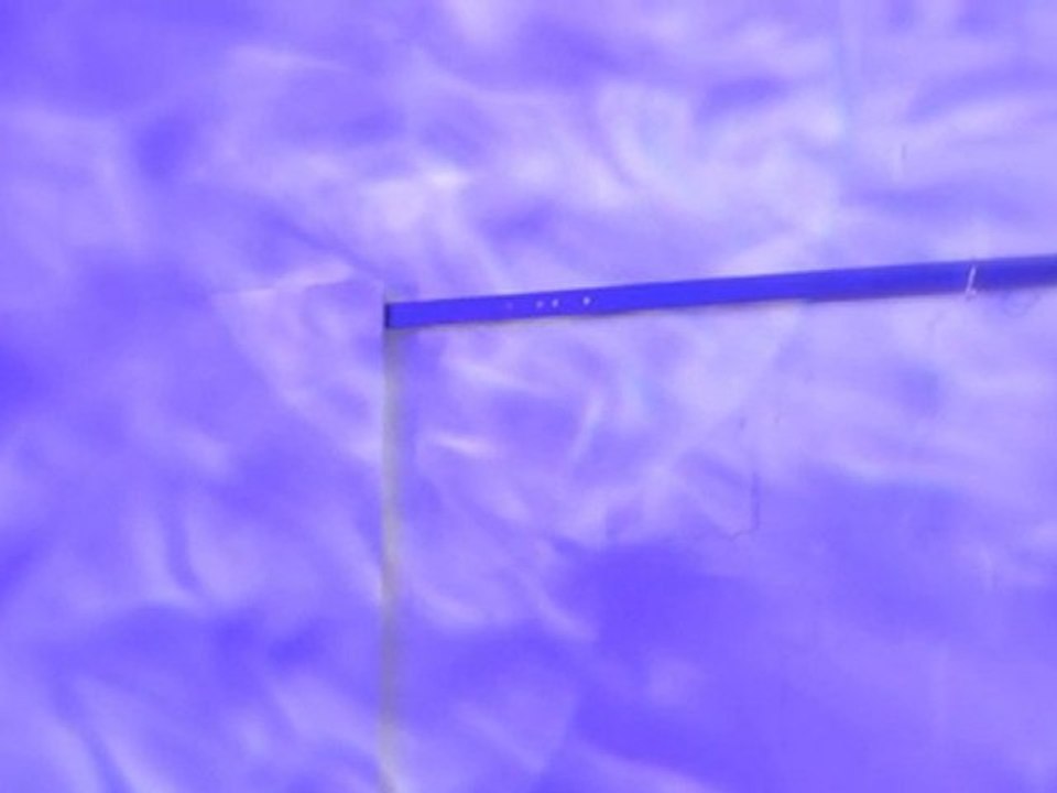 PAN INO Escape the time