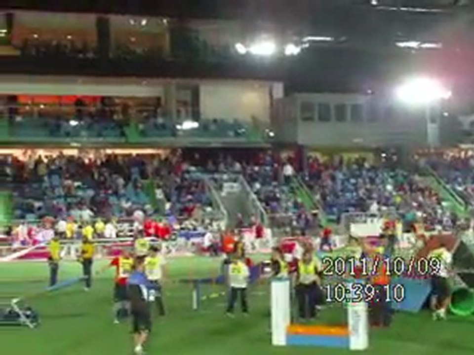 Mondial agility Liévin 2011 (4)