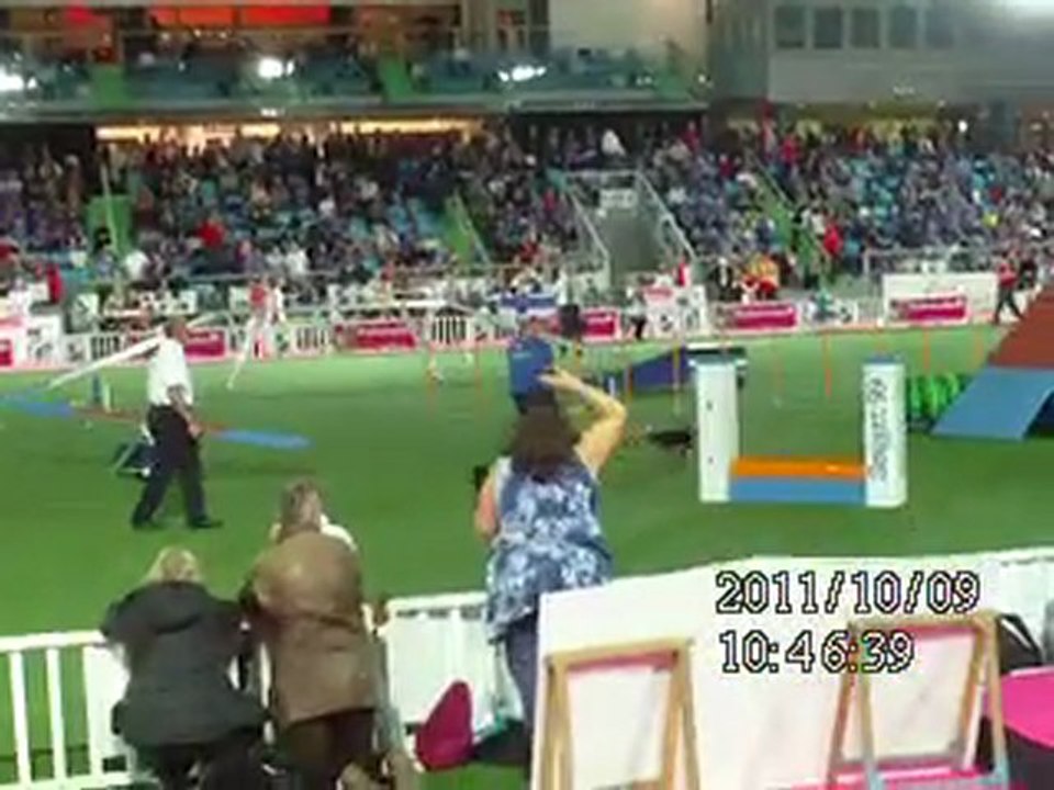 Mondial agility Liévin 2011 (6)