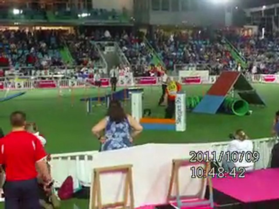 Mondial agility Liévin 2011 (7)