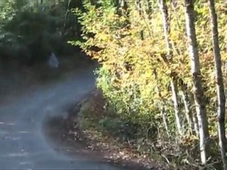 Finale de la Coupe de France des Rallyes 2011