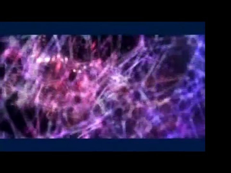 RFID, La police totale " le Film "