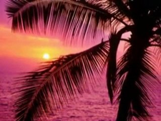 Mary Youngblood - Reach for the Sky (EnstrumentaL)