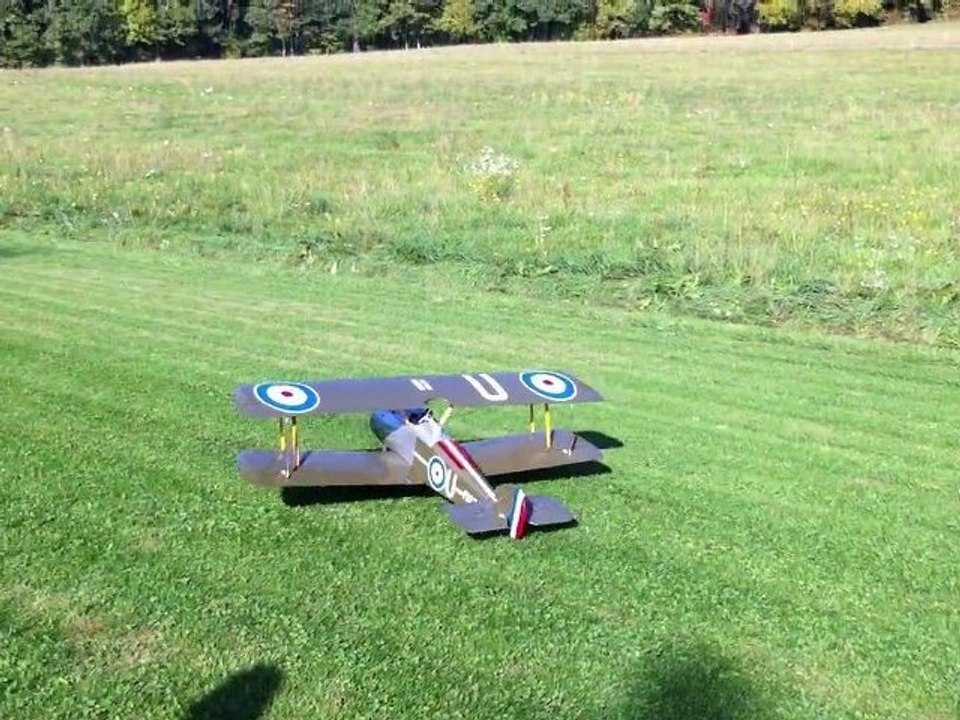 Cheval de bois de John