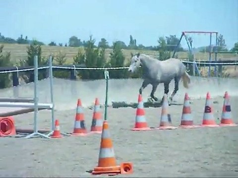 Upsie, saut liberté juin 2011