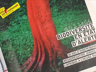 Semaine Solidarité Internationale à Toulouse