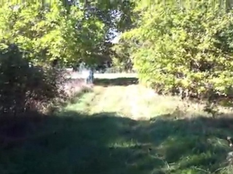 Vente château magnifique proche de Nantes (10 minutes) en Sud-Loire - Aucune nuisance - Potentiel énorme